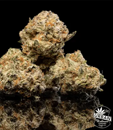 Urban Wellness Our Strains Marshmellow Mudslide
