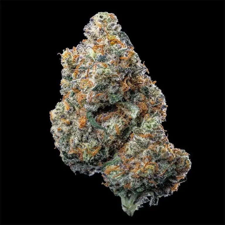 Urban Wellness Our Strains Cajun Mintz