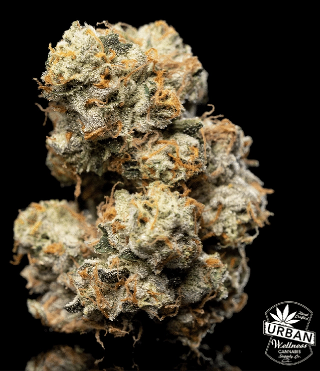 Urban Wellness Our Strains Berlatti