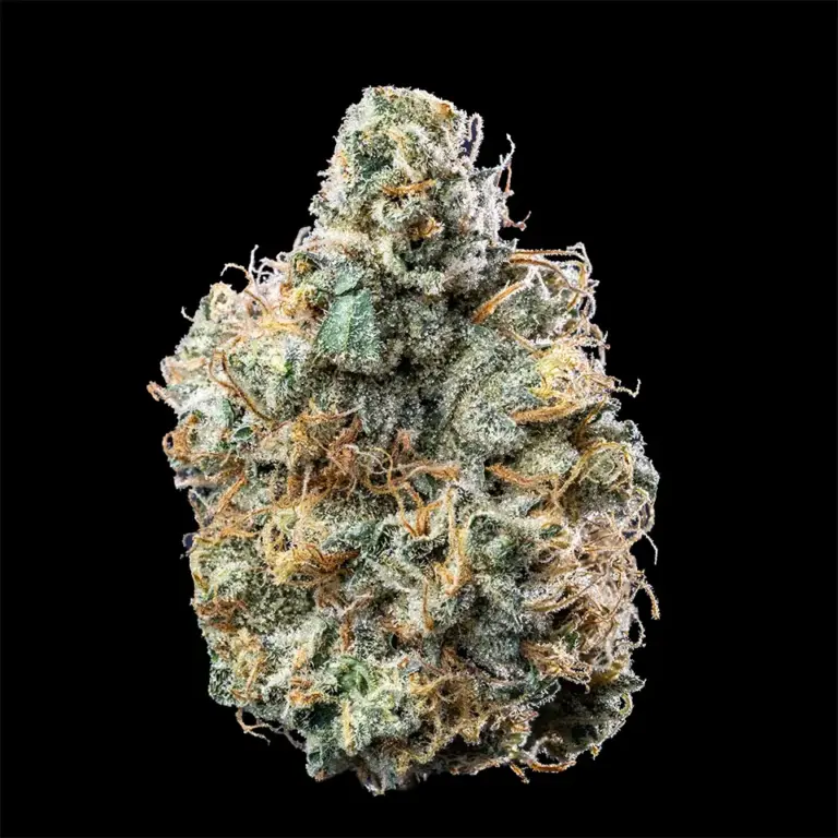 Urban Wellness Our Strains Big Bunz