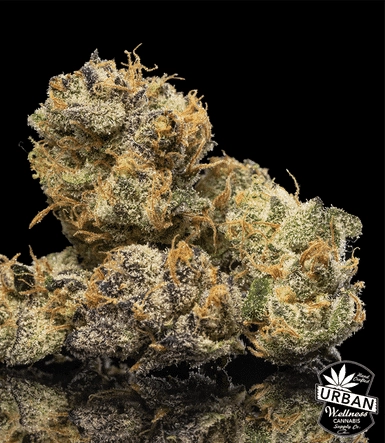 Urban Wellness Our Strains Blood Oath