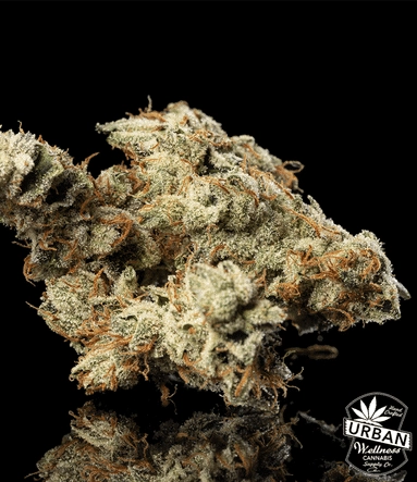 Urban Wellness Our Strains Gorilla Glue