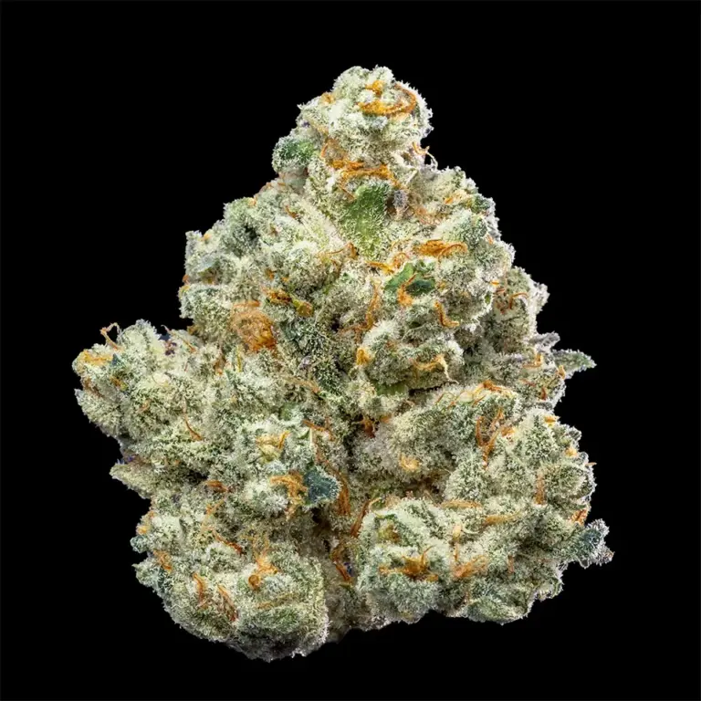 Urban Wellness Our Strains Hydroplane