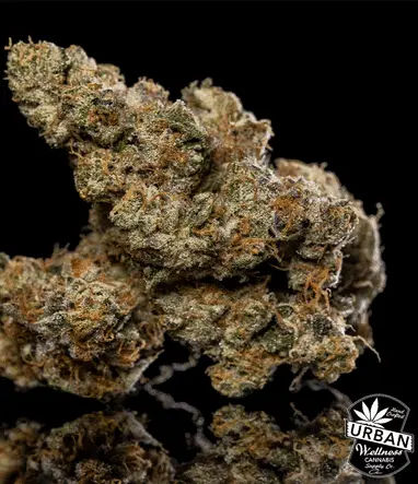 Urban Wellness Our Strains Kalifa Kush