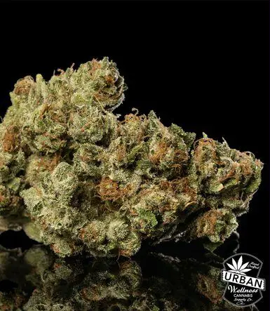 Urban Wellness Our Strains Rainforest Crunch