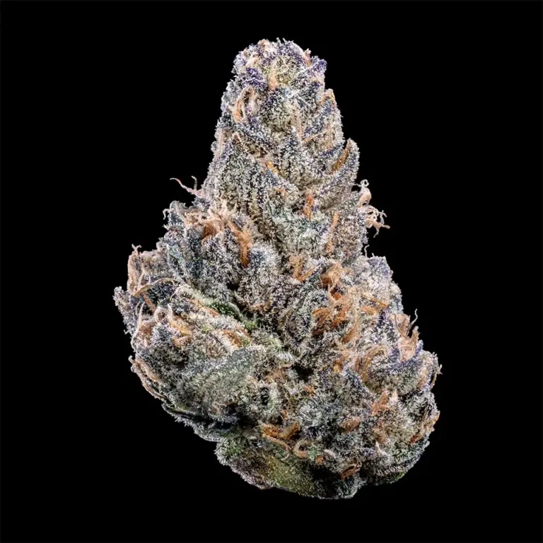 Urban Wellness Our Strains Roasted Runtz