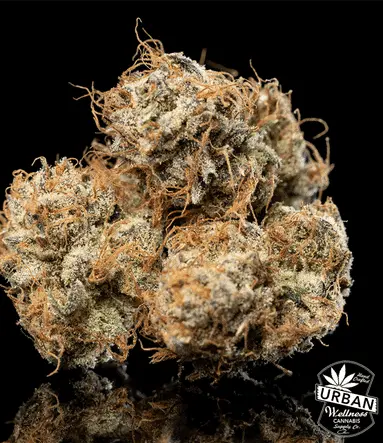 Urban Wellness Our Strains T-Mac