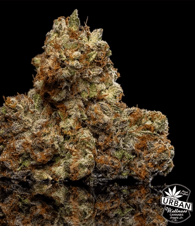 Urban Wellness Our Strains Triangle Kush