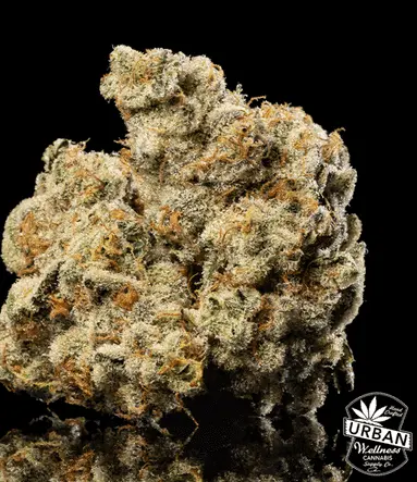 Urban Wellness Our Strains Wedding Crasher