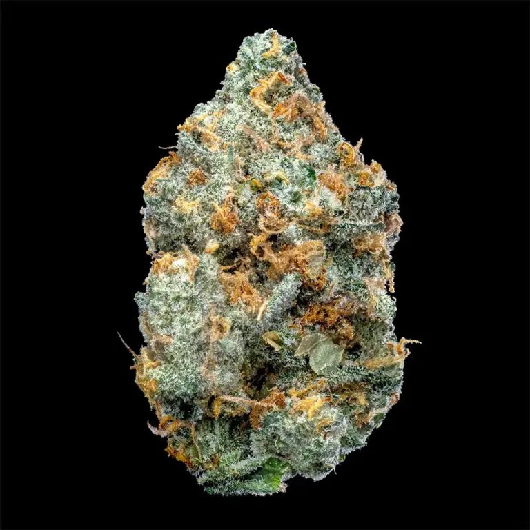 Urban Wellness Our Strains White Burgundy