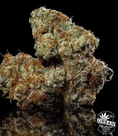 Urban Wellness Our Strains Pyromaniac