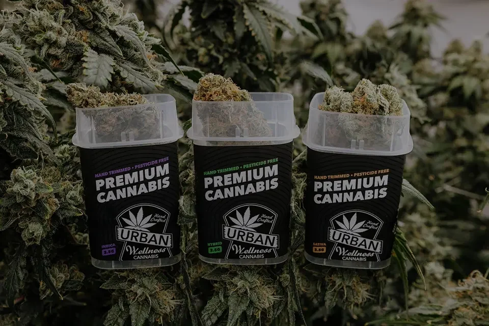Urban Wellness Premium Cannabis